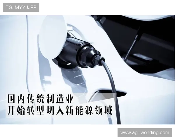 问鼎娱乐：明星背后的团队力量与娱乐产业链的深度剖析