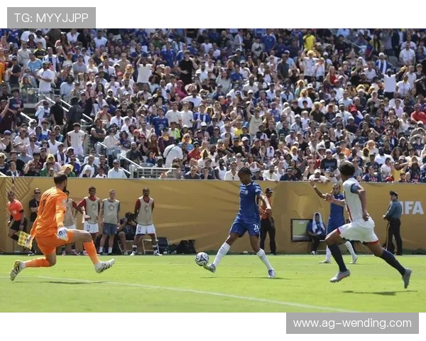 开云app登录指南：最新版本登录步骤详解帮你顺利进入账号