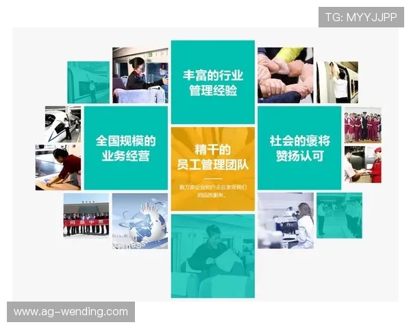 问鼎平台官网合作伙伴介绍展示平台合作案例与伙伴关系，增强你的信任感和合作意愿