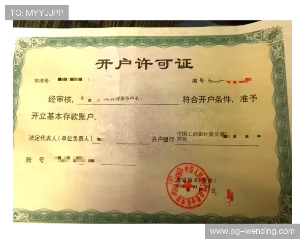 问鼎现金开户对比不同平台的优势与不足，帮助用户做出最明智的选择决策