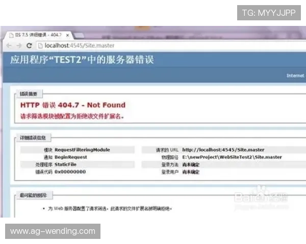 问鼎网页登录入口官网官方入口安全性分析及账号保护措施全面介绍