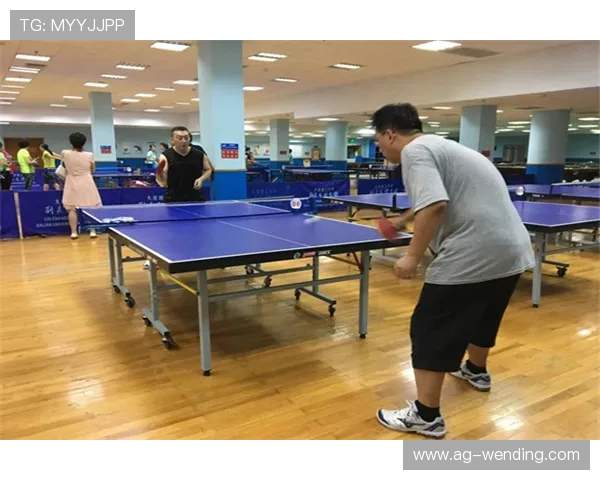 乒博体育培训课程：专业教练指导下的乒乓球技能提升方案与学习资源