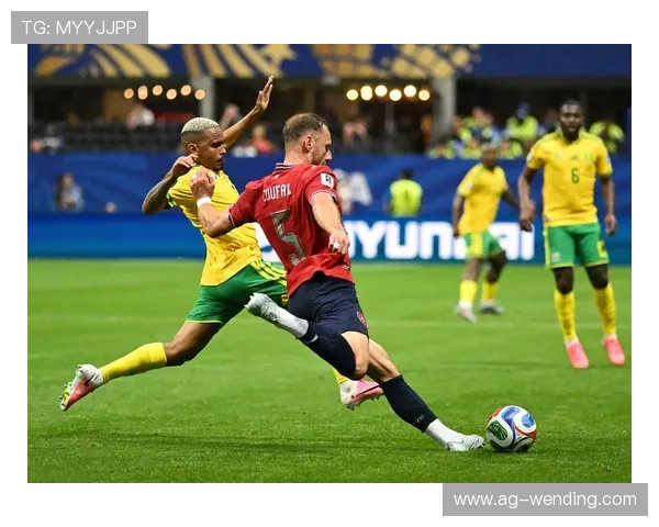 捷克南非世界杯比赛全场录像回放，比赛精彩瞬间高清集锦与战术分析